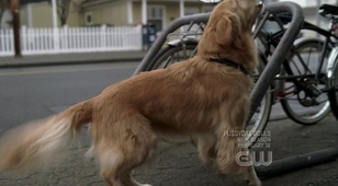 Mystery Spot Pictures - Supernatural Fan Site Mystery Spot Pictures - Supernatural Fan Site